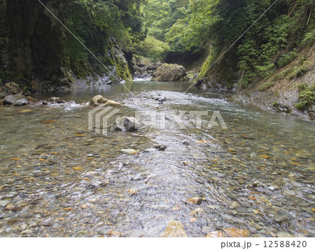 星野川 八女市の写真素材