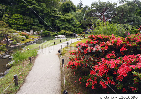 五月杜鵑花日本庭園日式庭園日式庭院照片素材