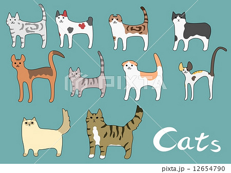 縞三毛のイラスト素材