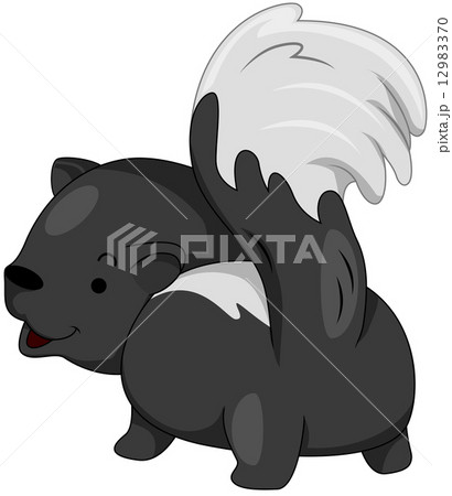 スカンク 可愛いの写真素材