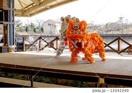 中国獅子舞の写真素材