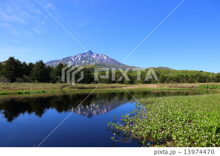 南浜湿原の写真素材