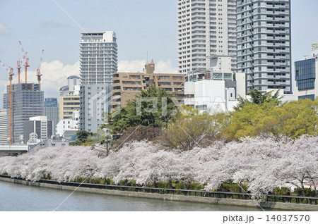 Minami Temma Park Photos