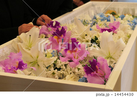 棺桶 棺 葬儀 納棺の写真素材