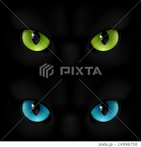 ペット 猫 横顔 見つめるのイラスト素材