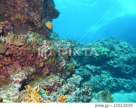 与那国島 岩 海 マリンスポーツの写真素材