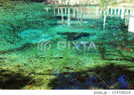 別府弁天池 山口県 コバルトブルーの池 綺麗な水の写真素材