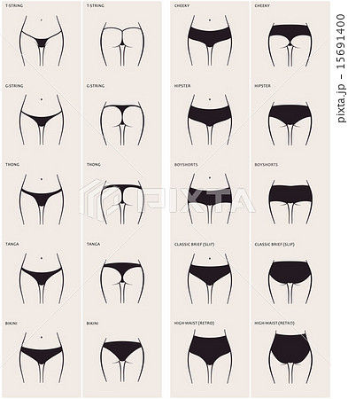 All Types of womens panties. The most complete - Stock Illustration  [49476402] - PIXTA