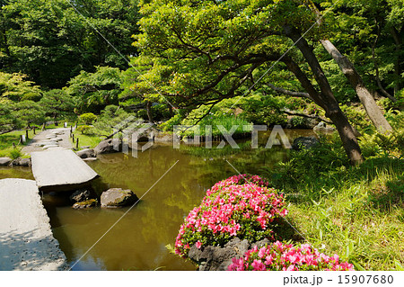五月杜鵑花日本庭園日式庭園日式庭院照片素材