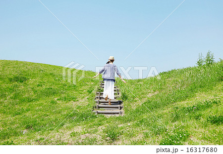 上がる 後ろ姿 階段 女性の写真素材