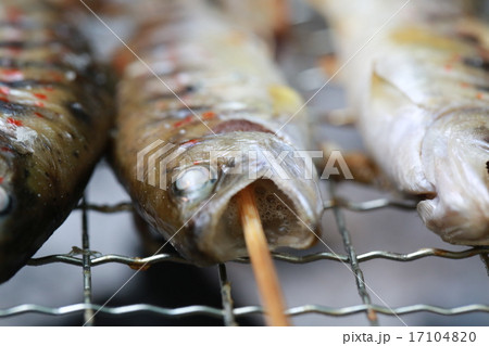 アマゴ塩焼き 炭火の写真素材