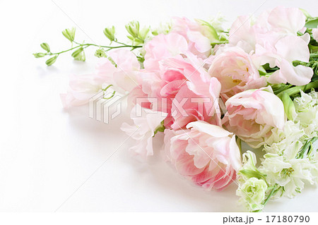 ラークスパー チドリソウ 花束の写真素材