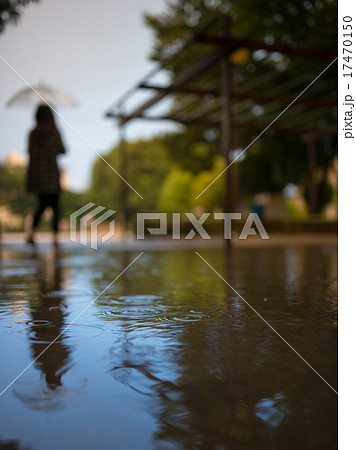 水たまり 反射 暗い 午後の写真素材
