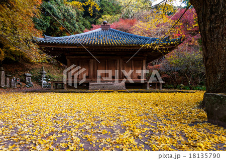 国宝 富貴寺 紅葉 銀杏の写真素材