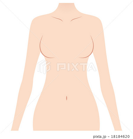 Female chest bust-up pose illustration - Stock Illustration [71484260] -  PIXTA