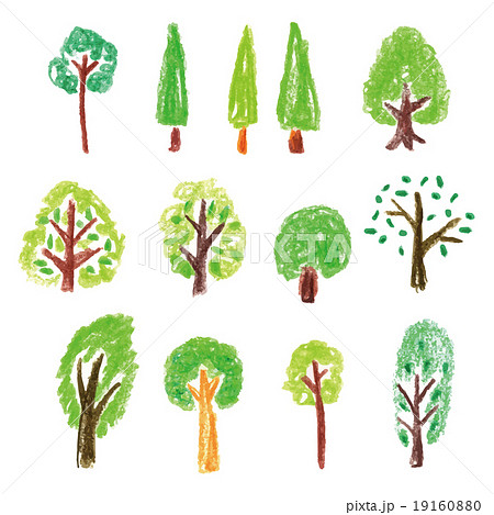 木 色鉛筆画 ベクター 植物のイラスト素材