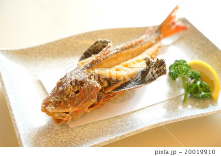 魚 焼き魚 ほうぼう ホウボウの写真素材