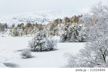 雪景色 冬 ヨーロッパ 雪 イギリス 風景 湖水地方の写真素材