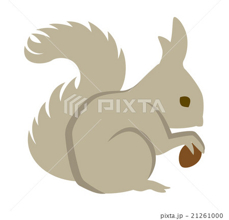 リス 北海道 動物のイラスト素材