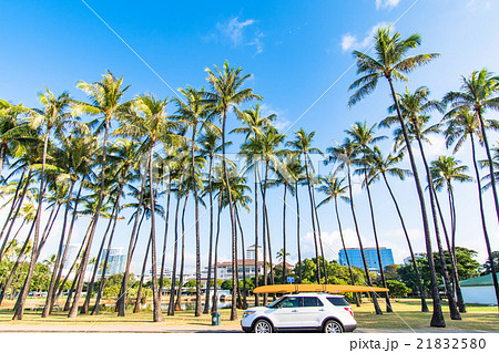ホノルル 車 ハワイ ヤシの木の写真素材