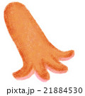 たこさんウインナーのイラスト素材
