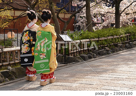 舞妓さん 後姿の写真素材