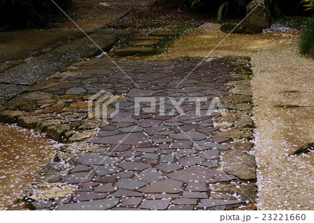 花筵の写真素材 花筵の写真素材