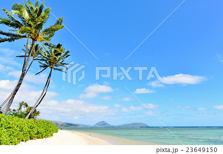 ハワイ 海 ビーチ リゾートの写真素材