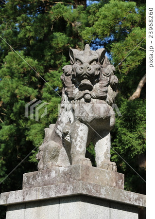 岩木山神社 狛犬 石像 岩木山の写真素材