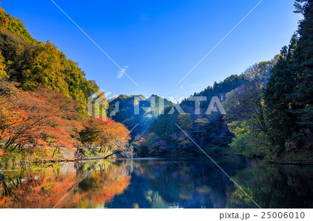 鎌北湖 紅葉 東武東上線 かまきたこの写真素材