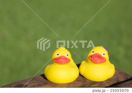 黄色 鳥 おもちゃ 緑の写真素材