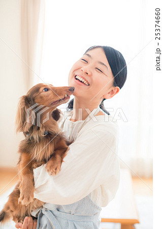 犬 抱っこ 主婦 ミニチュアダックスフンドの写真素材