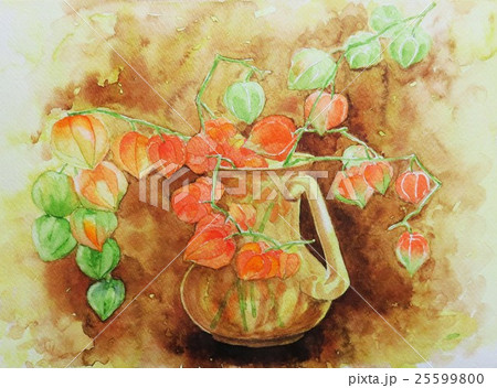 水彩画 鬼灯 花 植物のイラスト素材