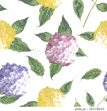 花 紫陽花 面白い 形のイラスト素材