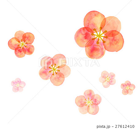 梅の花のイラスト素材集 ピクスタ