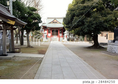 新小岩香取神社 香取神社 神社 神社仏閣の写真素材