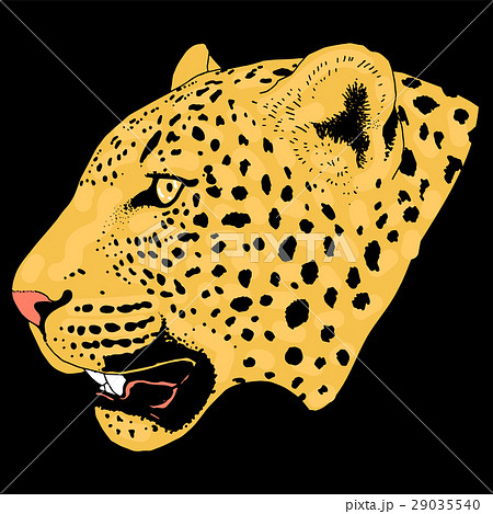 Leopard Face Tattoo Vector Illustration Printのイラスト素材