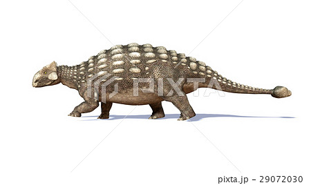 アンキロサウルスのイラスト素材