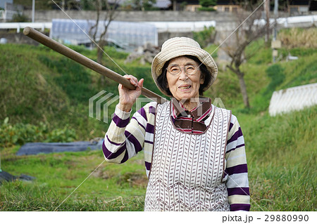 高齢者 おばあさん 農家 農業の写真素材