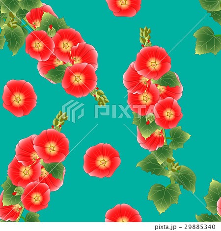 タチアオイ 花のイラスト素材