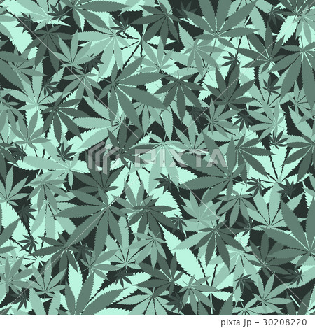 Seamless Cannabis Patternのイラスト素材 30