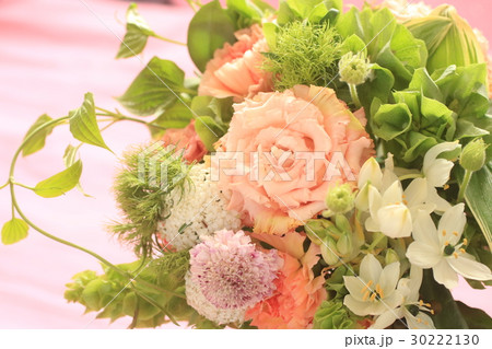 モルセラの写真素材 モルセラの写真素材