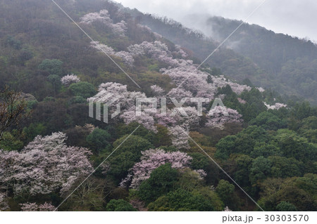 嵐山妙見堂の写真素材