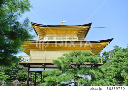 金閣寺 修学旅行 人物 女性の写真素材