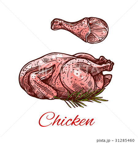 ドラムスティック 鶏もも肉 鶏もも 鶏モモ肉のイラスト素材