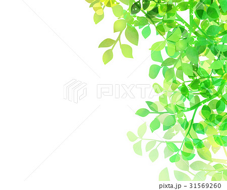 木漏れ日 背景素材 新緑 葉のイラスト素材