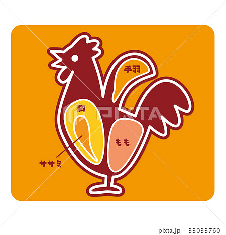 鶏肉 部位 肉 図解の写真素材