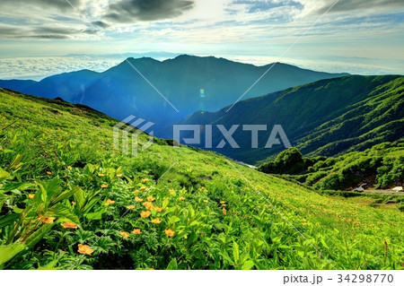 北岳 花畑 鳳凰三山 夏山の写真素材