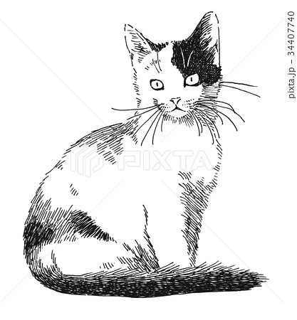 無料印刷可能猫 イラスト リアル ボールペン スーパーイラストコレクション