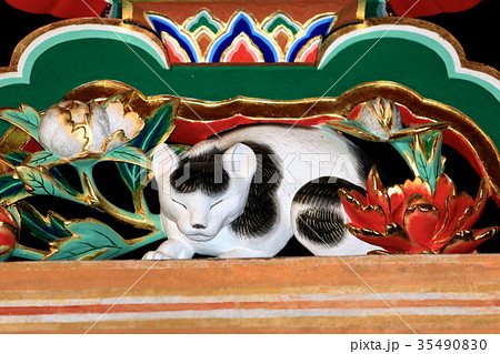 日光東照宮 猫 彫刻 東照宮の写真素材